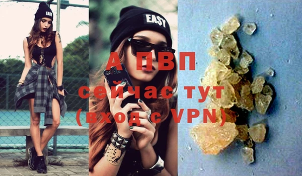стафф Алзамай