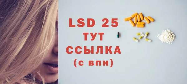 стафф Алзамай
