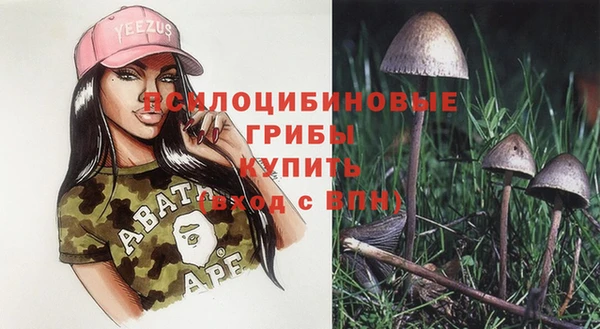 спиды Алексин