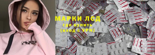 стафф Алзамай